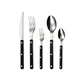 5PCS STAINLESS STEEL CUTLERY